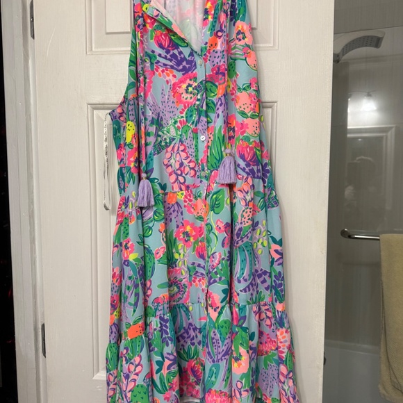 Lilly Pulitzer Carolane Dress - Picture 2 of 6